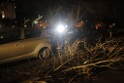 Sturm Baum auf PKW s Koeln Mauenheim A Gruenen Hof P02